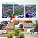 The Texas Christian University TCU Horned Frogs Football
