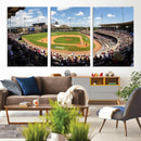 The Texas A&M University Aggies Athletics Team Print -