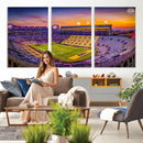 The Louisiana State University Tigers Football Team Print -