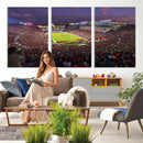 The University of Southern California USC Trojans Football