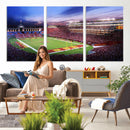 The University of Southern California USC Trojans Football