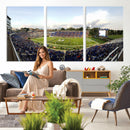 The Duke University Blue Devils Football Team Print - Durham