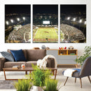 Florida A&M Rattlers Football Team Print - Tallahassee Bragg