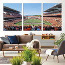 Oregon State Beavers Football Team Print - Corvallis Reser by MyGreatCanvas | Canvas Wall Art Prints | Photo Prints & Wall Decor