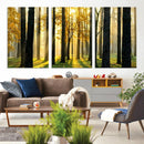 Sunlit Forest Wall Art Canvas Print – Large Framed Woodland