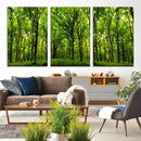 Lush Green Forest Canvas Print | 3-Panel Forest Wall Art |