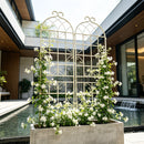 Metal Garden Rustproof Trellis For Climbing Plants Outdoor Flower Support by Unique Piece Furniture