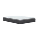 12'' Hybrid Mattress In A Box, Plush Gel Memory Foam Mattress Top With Pocket Coil Base - Gray / White - Queen by HouseOfZazla