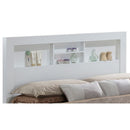 Bed With Transitional Design Stylish