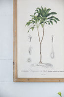 Tree Framed Print (Set of 2) - Multicolor by Unique Piece Furniture