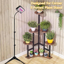 6 Tier Corner Plant Shelf With Frame For Living Room - Rustic Brown by HouseOfZazla