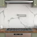 Modern Design Pot Filler Faucet Wall Mount Kitchen Sink, Folding Stretchable