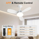 24.4" Modern Ceiling Fan with Light by HouseOfZazla