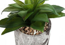 6" Tall Artificial Succulent Plants, Set of 2 by HouseOfZazla