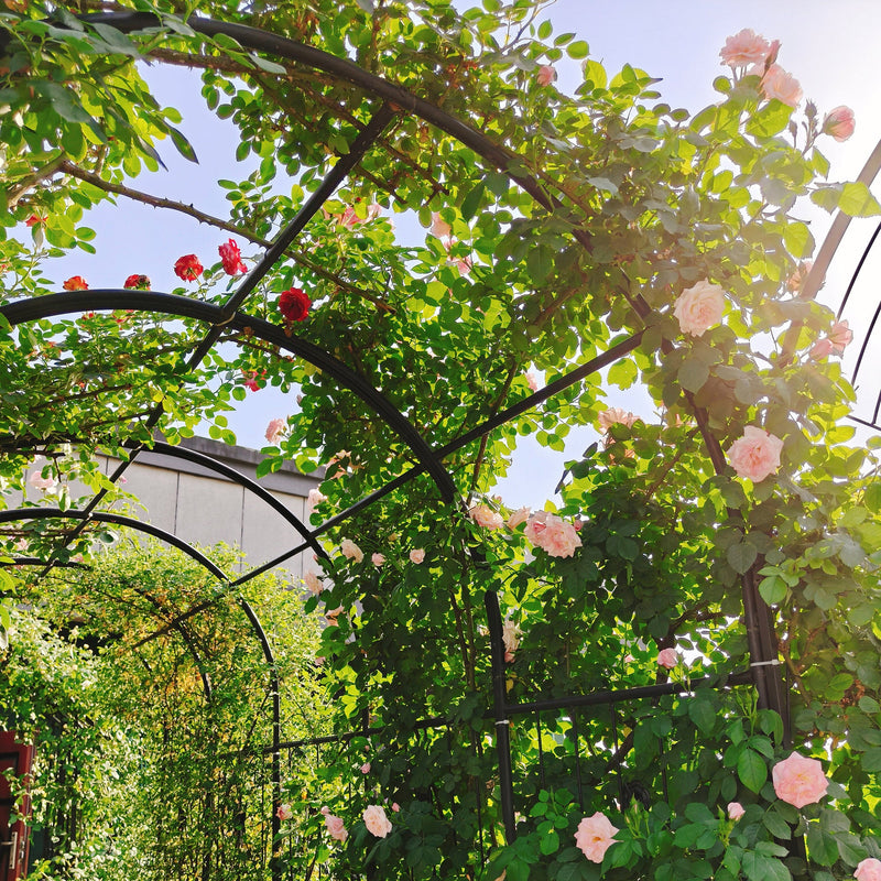 Metal Garden Arch with Two Plant Stands, photo 10 of 10