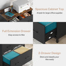 2 Drawer Lateral File Cabinet, A4 / Letter Size, Heavy Duty Storage For Home Office - Brown / Black by HouseOfZazla