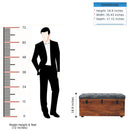 Buffalo - Storage Trunk by HouseOfZazla