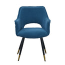 Side Chair, Living Room Bedroom Kitchen Vanity Accent Chair (Set of 2) - Blue