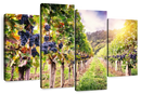 Autumn Vineyard Landscape Wall Art