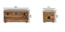 Buffalo - Storage Trunk by HouseOfZazla