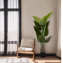 Artificial Plant For Indoor And Outdoor Decoration (Set of 2) by HouseOfZazla