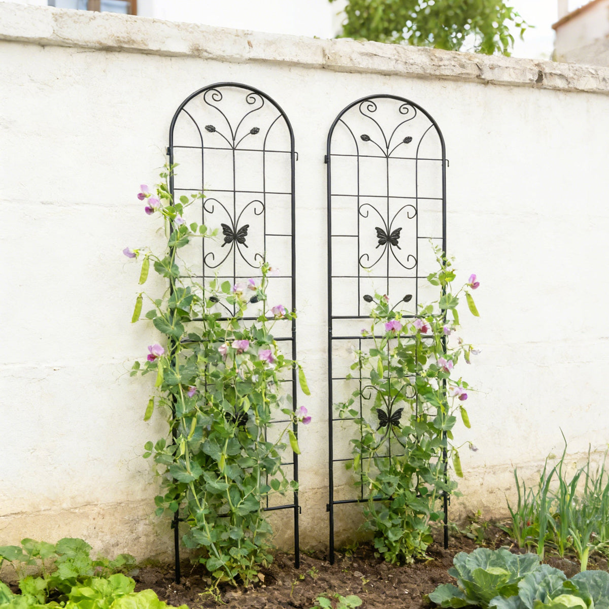 2 Pack Metal Garden Trellis 86.7" x 19.7", photo 9 of 10