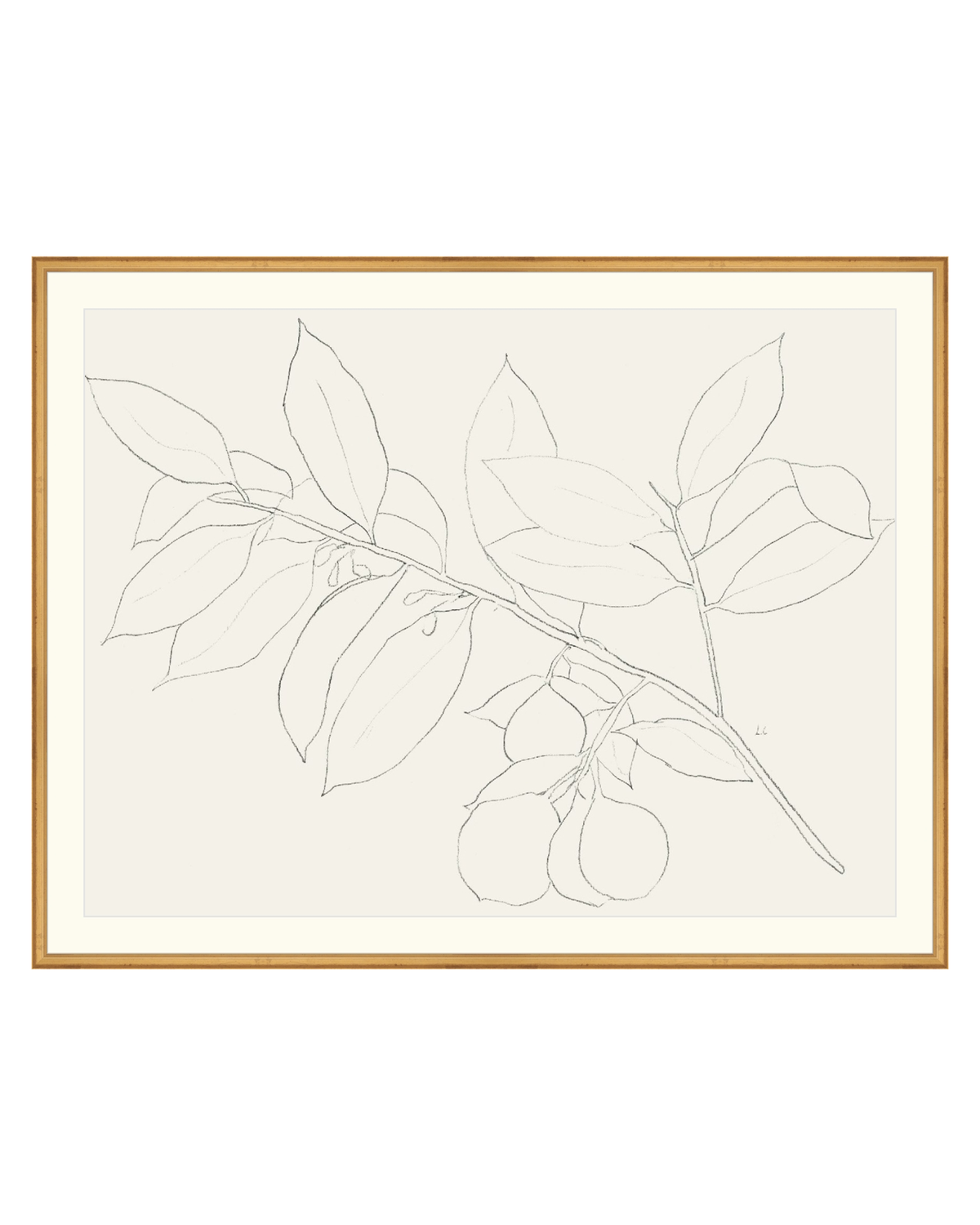 Lemon Branch Drawing, photo 22 of 42