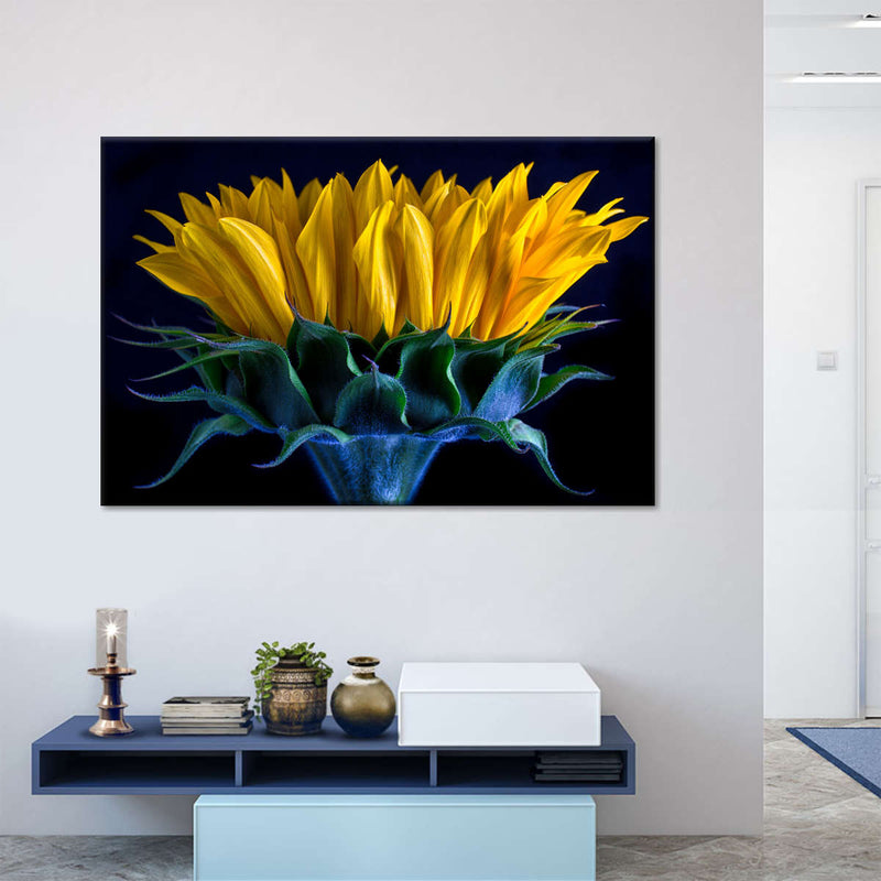 Sunflower Side View Wall Art