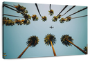 Plane Below Palm Trees Wall Art