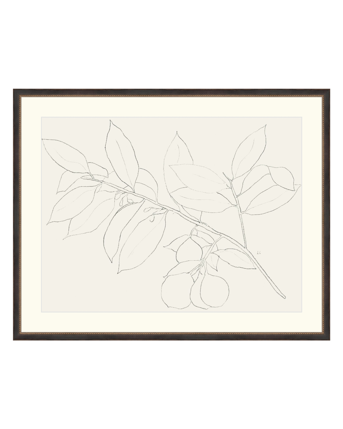 Lemon Branch Drawing, photo 5 of 42