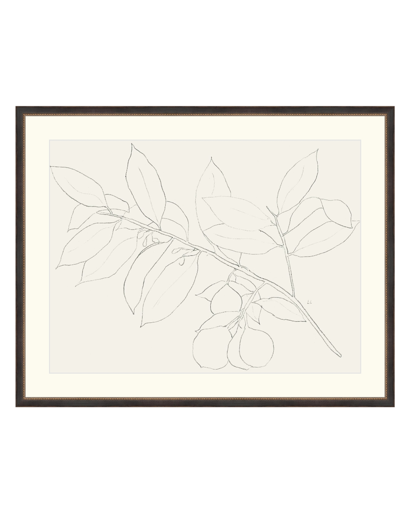 Lemon Branch Drawing