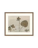 Botanical Thoughts III