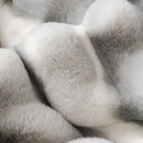 Ultra Soft Faux Fur Couch Cover – Large, Fluffy, and Elegant Sofa Throw Blanket