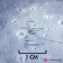 APOLLO 11 - SEA OF TRANQUILITY - LANDING SITE SLATE ASTROCOASTER by Concord Aerospace