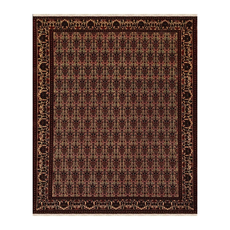 6x9 Ivory, Rust Hand Knotted 100% Wool Vase 200 KPSI Authentic Persian Oriental Area Rug