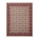 8'2" x 10'7" Hand Knotted Wool PakPersian 16/18 300 KPSI Oriental Area Rug Ivory