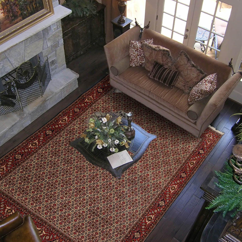 8'2" x 11'2" Hand Knotted 100% Wool Authentic Bidjar Oriental Area Rug Ivory