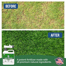 Turf Titan Lawn Advancer – Green Lawn Booster and Lawn Fertilizer (32 oz) – Fast-Acting Hose End Fertilizer Concentrate with Tri-Action Formula – Covers up to 8,000 Sq Ft by GreenHaven Gardens