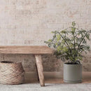 D'vine Dev 8 Inch Ceramic Planter Pot with Drainage Hole and Saucer, Indoor Cylinder Round Planter Pot, Grey, 94-O-D-3 by GreenHaven Gardens