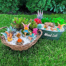 Mood Lab Fairy Garden - Miniature Fairies Figurines Accessories - Camping Kit of 9 pcs - Set for Outdoor or House Decor by GreenHaven Gardens