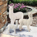 Design Toscano The Alpacalypse of Alpaca Garden Statues: Large by GreenHaven Gardens