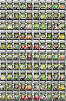 100 Seed Packets, 50 Varieties: Ultimate Seed Vault for Home Food Security & Abundant Gardens by B&KM Farms by GreenHaven Gardens