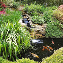 Tetra 77188 Algae Control Treats 36000 gallons, 101.4-Ounce by GreenHaven Gardens