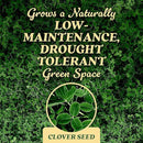 O.M. Scott and Sons Clover Seed, Lawn Seed Grows a Naturally Low Maintenance, Drought-Tolerant Lawn, 1,000 sq. ft., 2 lb. by GreenHaven Gardens