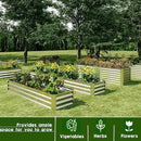 EKX 8x4x1FT Galvanized Raised Garden Bed, Raised Garden Bed Kit-Metal Planter Box Outdoor,Planting for Vegetables, Fruits,Herbs, Flowers-Slive by GreenHaven Gardens