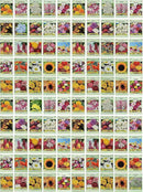 Set of 100 Assorted Valley Green Flower Seed Packets! Flower Seeds in Bulk - 20+ Varieties Included by GreenHaven Gardens