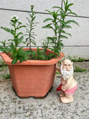 Funny Gnome Statue | Garden Gnomes | Funny Gnomes Garden Decorations for Outside Garden - Garden Gnomes 8" Tall by CozyNest Decor