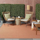 Nourison Positano Indoor/Outdoor Terracotta 2'2" x 10' Area Rug, Easy Cleaning, Non Shedding, Bed Room, Living Room, Dining Room, Backyard, Deck, Patio (2x10) by GreenHaven Gardens