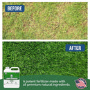 Turf Titan Lawn Advancer – Green Lawn Booster and Lawn Fertilizer (32 oz) – Fast Acting Grass Fertilizer w/Tri-Action Formula – Fertilizer Concentrate for Grass Growth - Covers up to 8,000 Sq F by GreenHaven Gardens