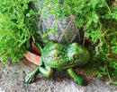 Iron Frog Key Hider - Hide a Key Outdoor - Outside Key Hider - Spare Key Holder, Garden Decoration Frog Statues… by GreenHaven Gardens